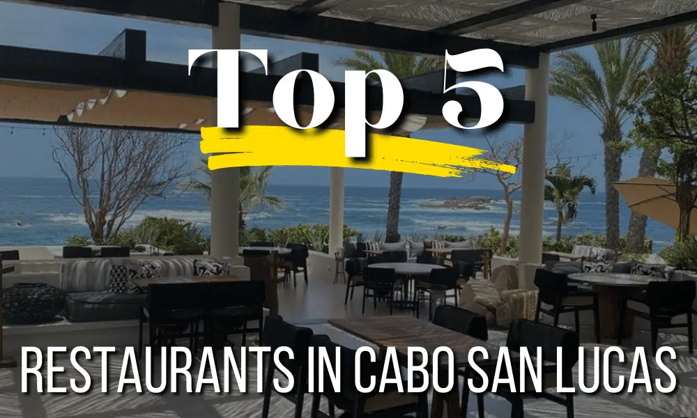 Best Restaurants in Cabo San Lucas