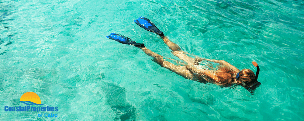 Snorkeling near the Cabo Arch