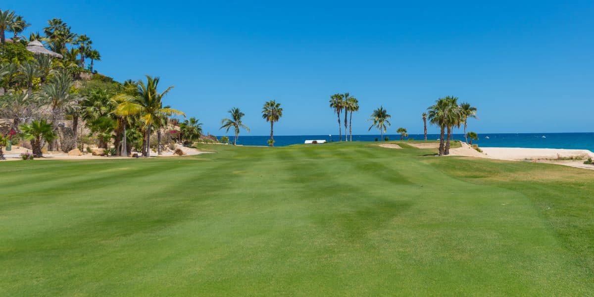 Cabo golf course