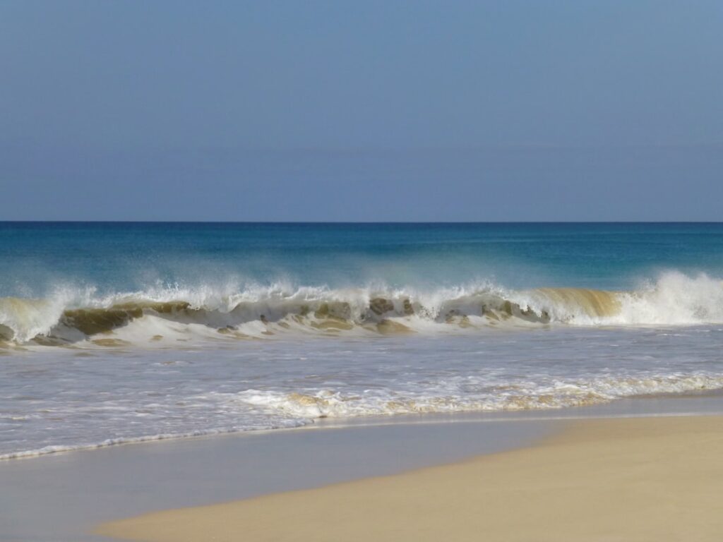 A person doing yoga on a tranquil beach in Cabo.