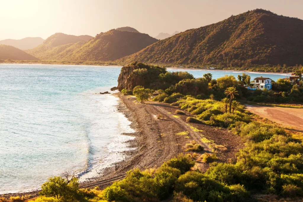 Baja-california-beach-1767002675058.webp